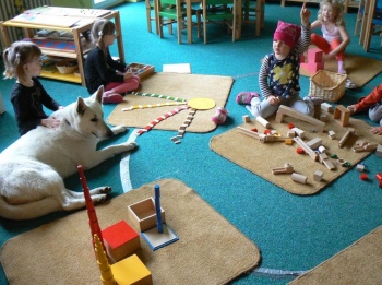 Montessori school v Praze 4